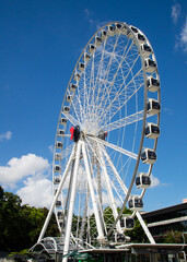 Roda Gigante no centro de Brisbane, Australia
