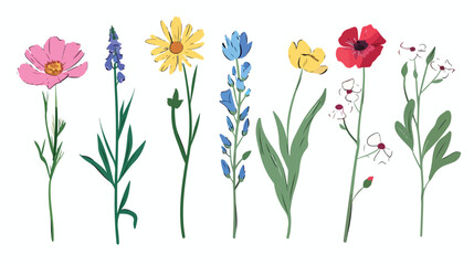 Wildflowers bouquet flat icon Beautiful spring plant.