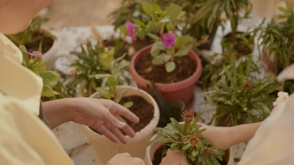Teaching gardening techniques in a peaceful home garden