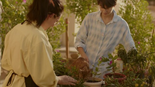 Woman and teenager gardening together, sharing knowledge