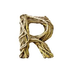 Letter R. Nature-Inspired Artstyle with old tree roots. Foresttheme. typography font, alphabet abc, isolated on transparent background png.