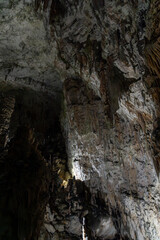 Postojna Cave, Slovenia. Famous tourist attraction, route that winds for several km. Departure by train to reach the route on foot. Stalagmites, stalactites and proteus lizard. family holidays,unique.