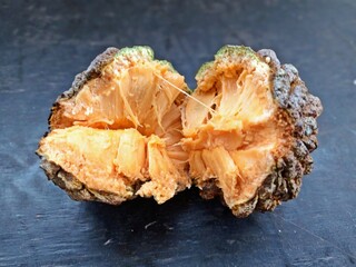 Annona crassifolia, annona crassifolia, marolo, araticum, native fruit