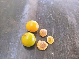 Strychnos pseudoquina medicinal plant from the Brazilian cerrado