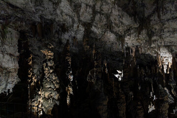 Postojna Cave, Slovenia. Famous tourist attraction, route that winds for several km. Departure by train to reach the route on foot. Stalagmites, stalactites and proteus lizard. family holidays,unique.