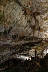 Postojna Cave, Slovenia. Famous tourist attraction, route that winds for several km. Departure by train to reach the route on foot. Stalagmites, stalactites and proteus lizard. family holidays,unique.