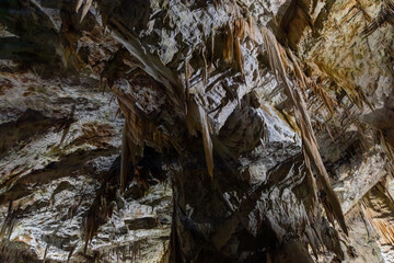 Postojna Cave, Slovenia. Famous tourist attraction, route that winds for several km. Departure by train to reach the route on foot. Stalagmites, stalactites and proteus lizard. family holidays,unique.