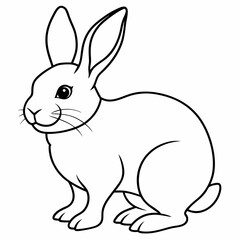 rabbit vector design 