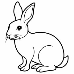rabbit vector design 
