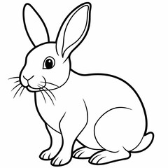 rabbit vector design 