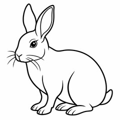 rabbit vector design 