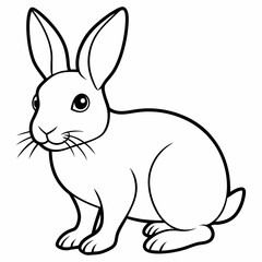 rabbit vector design 