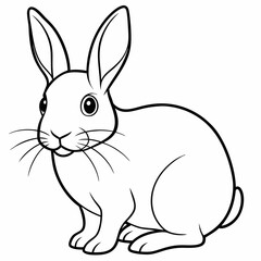 rabbit vector design 