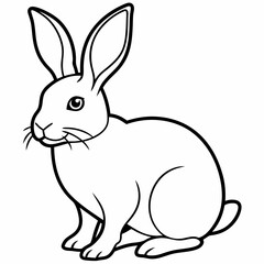 rabbit vector design 