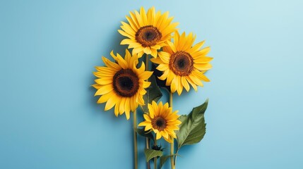 Obraz premium Vibrant sunflower bouquet on blue backdrop in flatlay format
