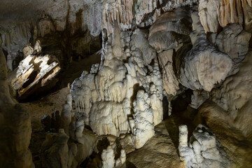 Postojna Cave, Slovenia. Famous tourist attraction, route that winds for several km. Departure by train to reach the route on foot. Stalagmites, stalactites and proteus lizard. family holidays,unique.