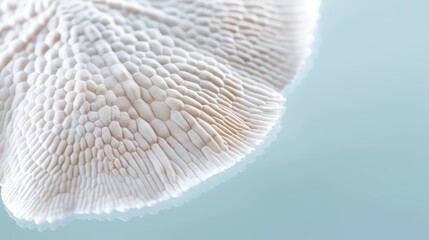 Hyper-realistic macro photograph of a sand dollar's intricate surface pattern