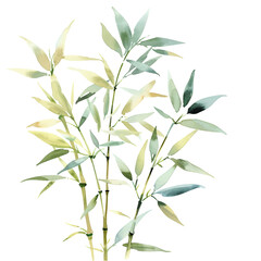Fototapeta premium Elegant Watercolor of Bamboo Stalks with Foliage in Soft Pastel Greens