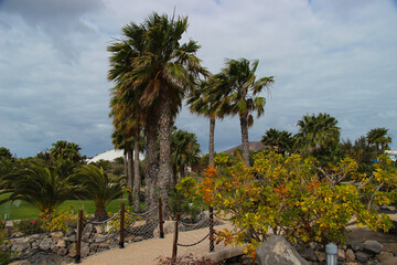 Egzotyczny ogród z palmami, niebieskie niebo z chmurami, krajobraz wyspy Lanzarote, tapeta, tło © anettastar