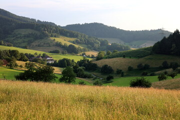 Obraz premium Frühlingslandschaft in Gundelfingen bei Freiburg