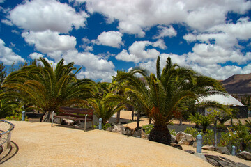 Egzotyczny ogród z palmami, niebieskie niebo z chmurami, krajobraz wyspy Lanzarote, tapeta, tło © anettastar