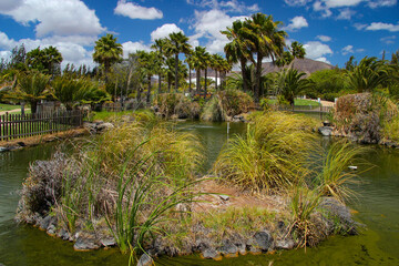 Egzotyczny ogród z palmami, niebieskie niebo z chmurami, krajobraz wyspy Lanzarote, tapeta, tło © anettastar
