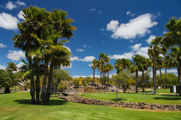 Egzotyczny ogród z palmami, niebieskie niebo z chmurami, krajobraz wyspy Lanzarote, tapeta, tło © anettastar