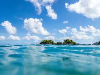 Trunk Bay in the Virgin Islands  National Park  on the island of St John in the US Virgin Islands