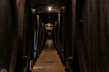 Fototapeta premium Maribor, Slovenia. Beauty of the historic center, typical streets, squares, underground cellar and the beauty of a city with Austrian architecture. Famous for wine. Second largest city in Slovenia.