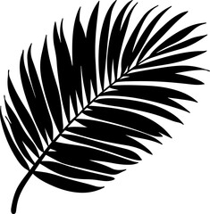 Fototapeta premium palm leaf vector illustration isolated on transparent background. 