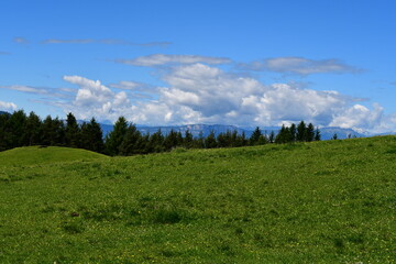 Obraz premium Schöne Landschaft bei Völs am Schlern in Südtirol 