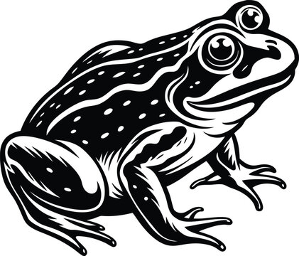 black and white frog sitting, side view clip art preview
