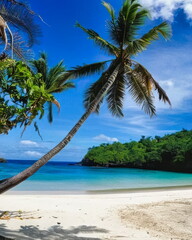 Tropical Island Paradise