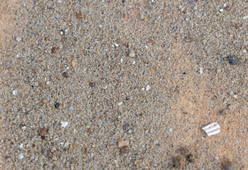 A close-up of the sand texture, with small rocks and pebbles scattered throughout. The background is a light brown color,