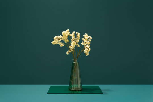 Minimalist floral display of Limonium sinuatum in a vase