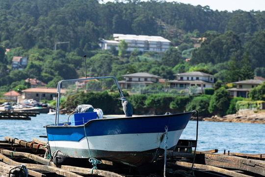 Blue boat and heron on wooden jetty in coastal village