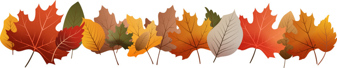 Vivid Autumn Leaves Border Isolated