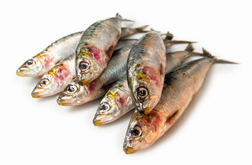 Sardinas frescas, pescado