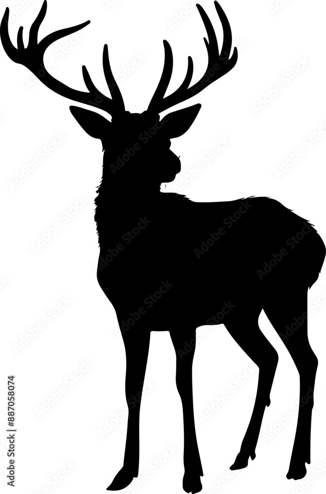 Wall mural reindeer vector illustration isolated on transparent background.