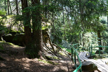 Formacje skalne w Sudetach