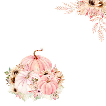 recommend clip art: Orange and pink pumpkins, sunflowers and fall leaves on white background. Watercolor illustration in pastel colors. The drawing is hand drawn. Suitable for cards, invitations and textiles. Ready page 