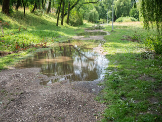 Flaques d'eau dans le parc 