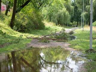 Ułamana gałąź w kałuży po intensywnej burzy 