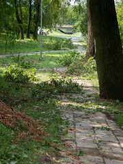 Gałęzie na chodniku po intensywnej wichurze