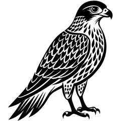 Hawk silhouette vector illustration on white background