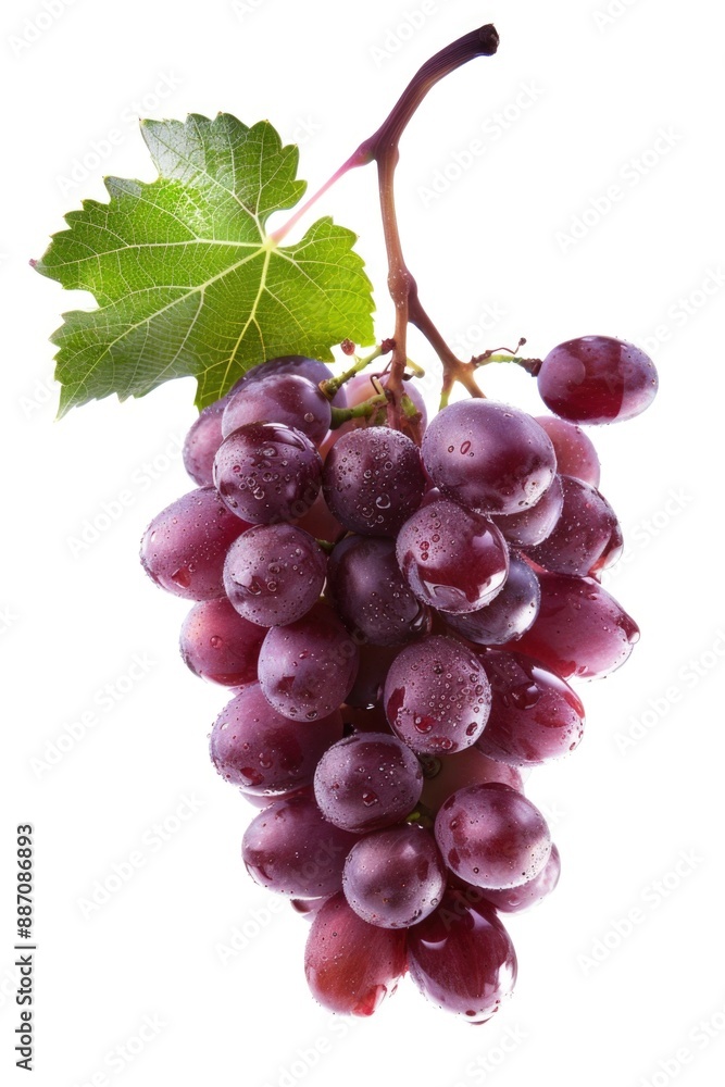 Poster a detailed view of a cluster of grapes, perfect for food or beverage related uses