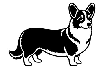 Pembroke welsh corgi vector illustration