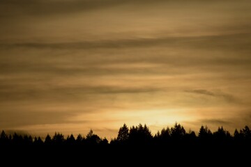 Fototapeta premium sunset over the field