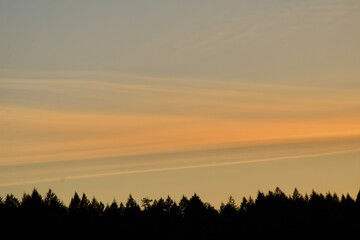 sunset over the field