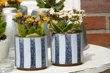 Zwei Blumentöpfe mit bunten Blumen